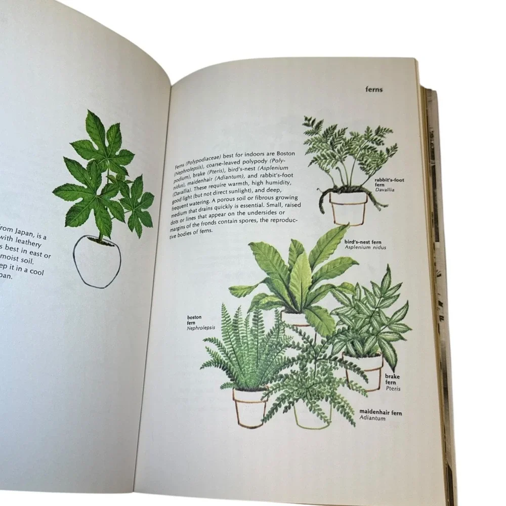 VTG New York Times Book of House Plants Joan Lee Faust 1973 Vintage‎ Paperback